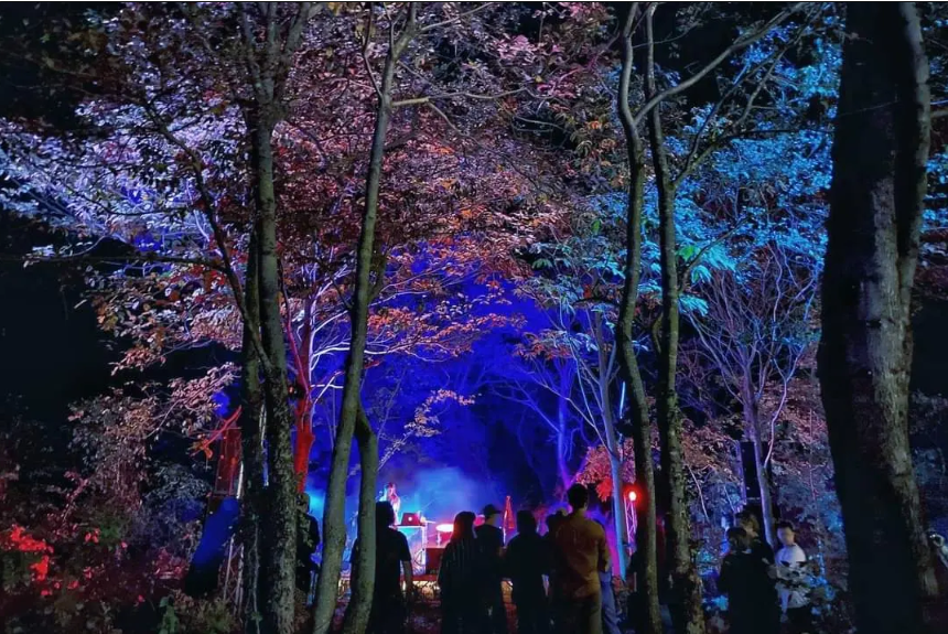 Immersive light installation in a forest