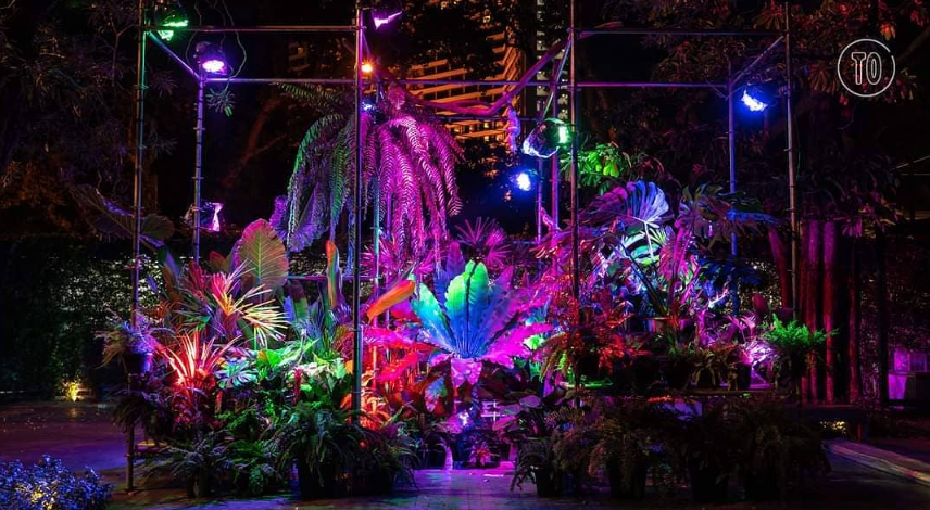 Immersive botanical light installation